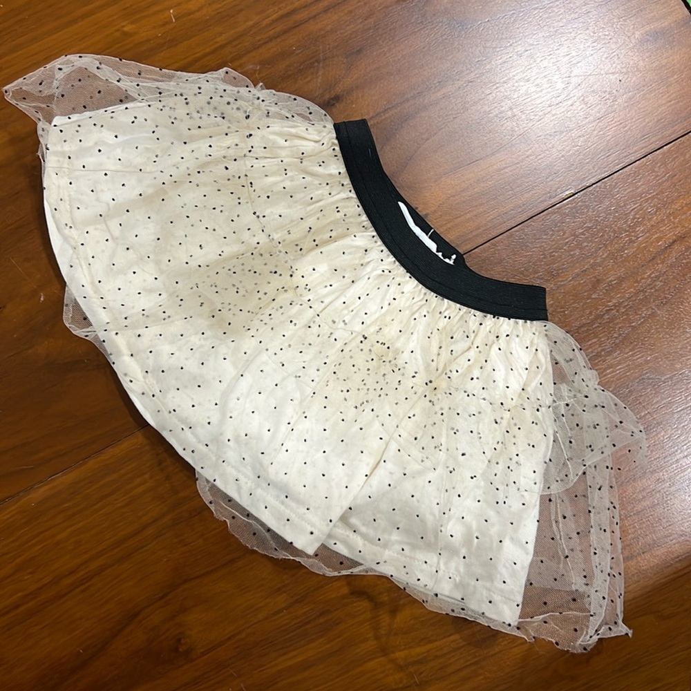 Zara Tulle Polka Dot Skirt